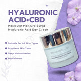 Hyaluronic + CBD Dream Gift Set ( Serum + Moisturiser + Eye )